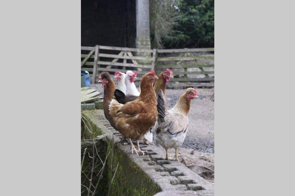 Stones Cottage Farm: Rural Retreat with Gaming Barn and EV Charging Oxenhope Exterior photo