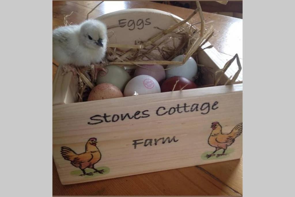 Stones Cottage Farm: Rural Retreat with Gaming Barn and EV Charging Oxenhope Exterior photo